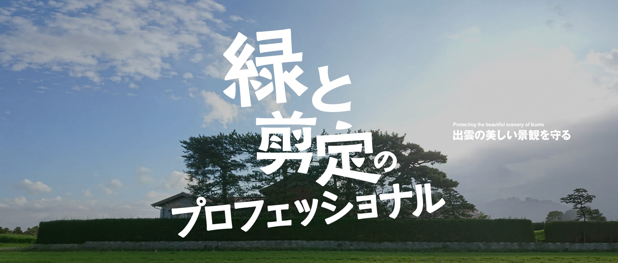 出雲の美しい景観を守る、緑と剪定のプロフェッショナル