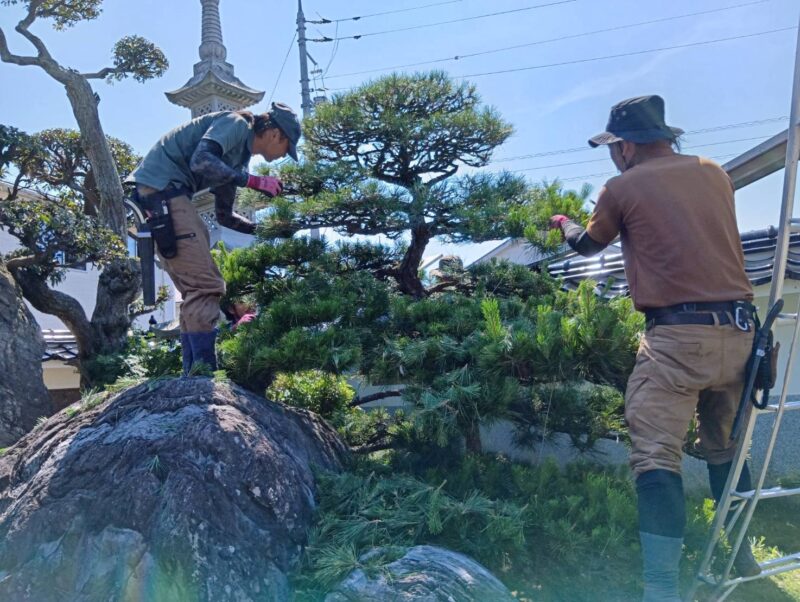 作業シーン