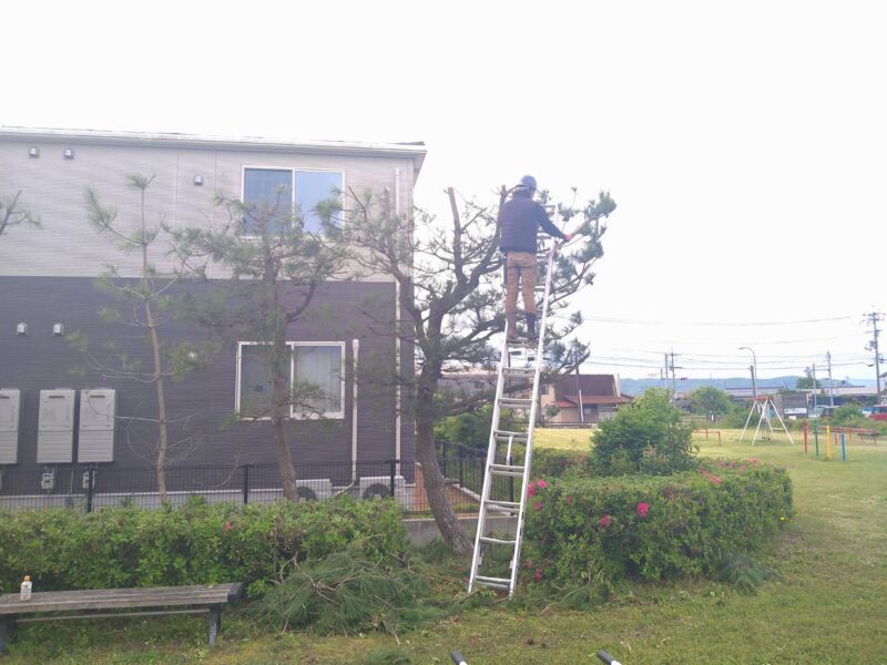 作業シーン