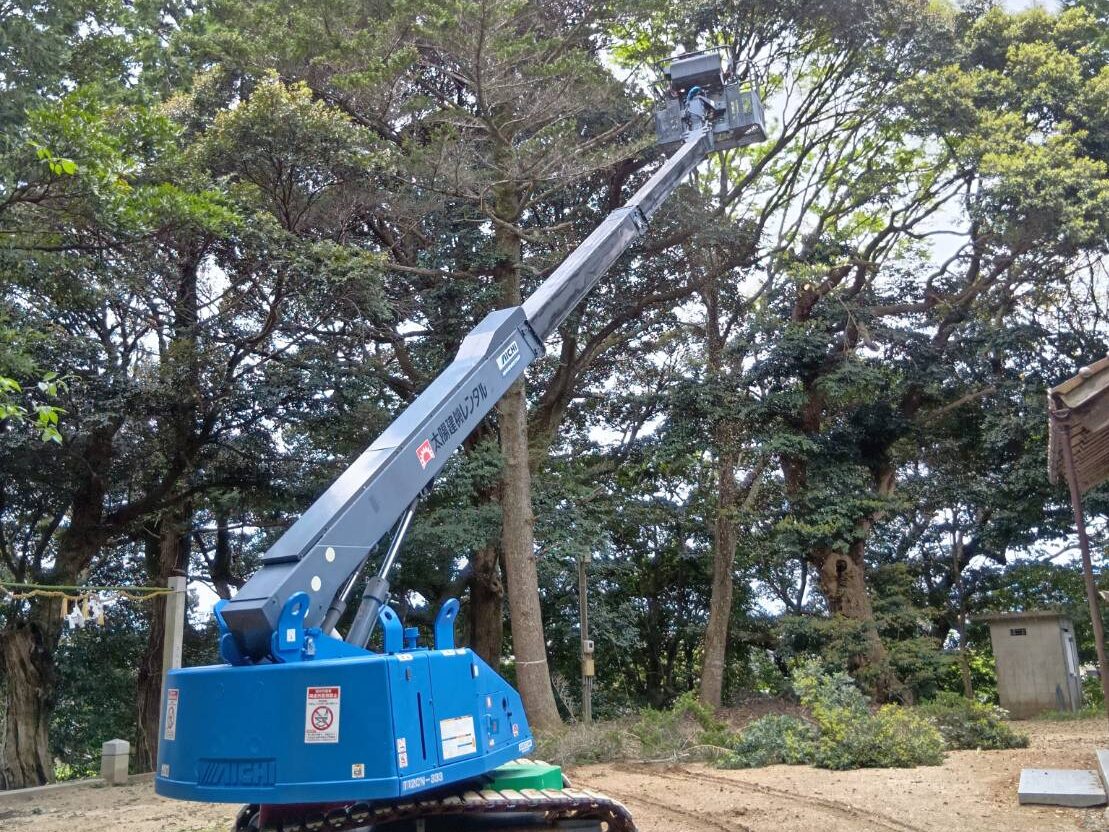 危険木撤去